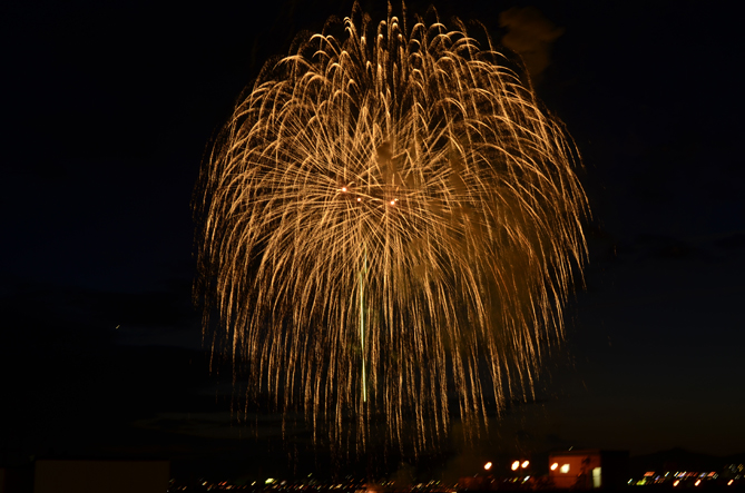 大きな花火が単発で夜空に開く様子