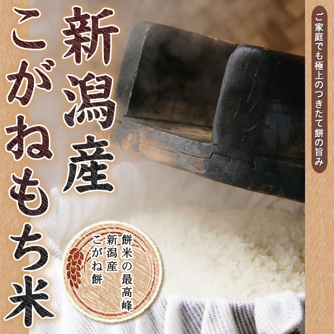 新潟産こがねもち米【お米プラザ新潟】餅米のトップブランドとして人気の 新潟産こがね餅米