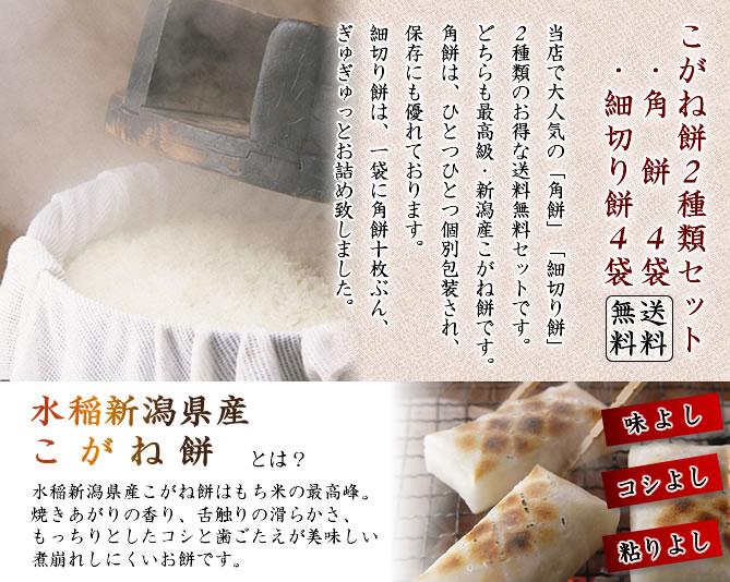 お餅の旨みはコシなんです。