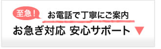 お急ぎなら安心サポート