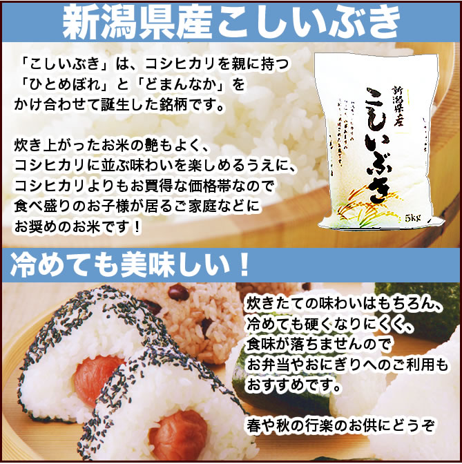 新潟産こしいぶき【お米プラザ新潟】しっかりした食感とお求め易い価格 
