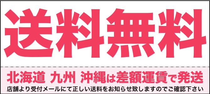 送料無料一部地域を除く