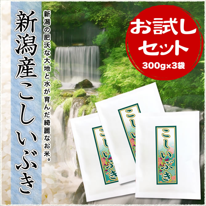 【お試し】新潟県産こしいぶき 300g×3袋
