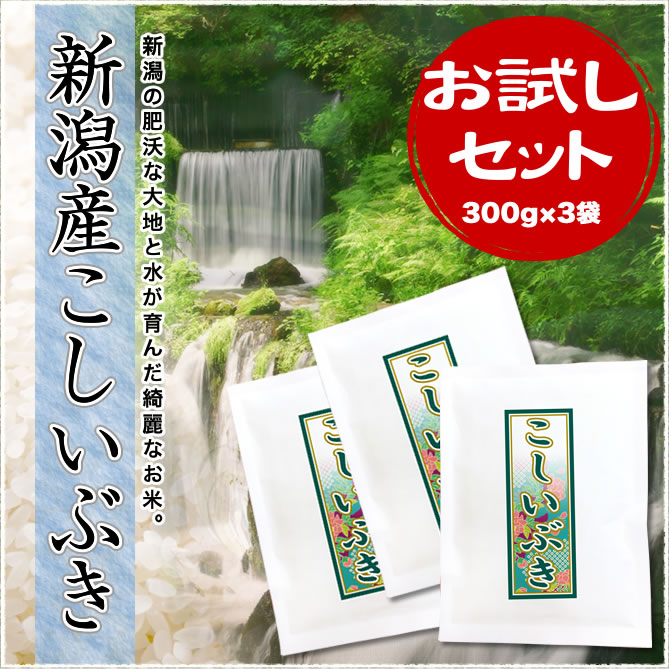 お試し】令和4年産新潟県産こしいぶき 300g×3袋