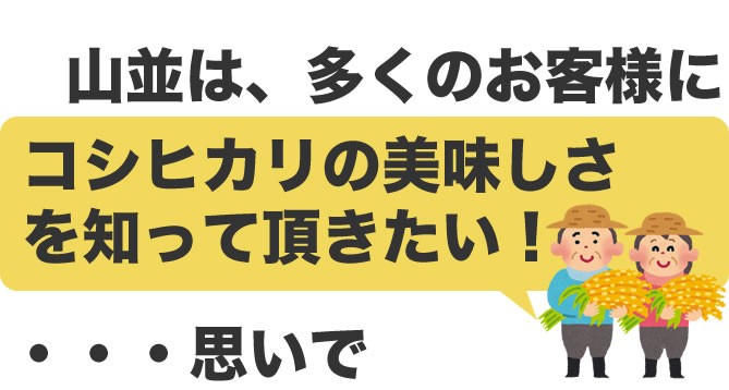 新潟産コシヒカリの美味しさ