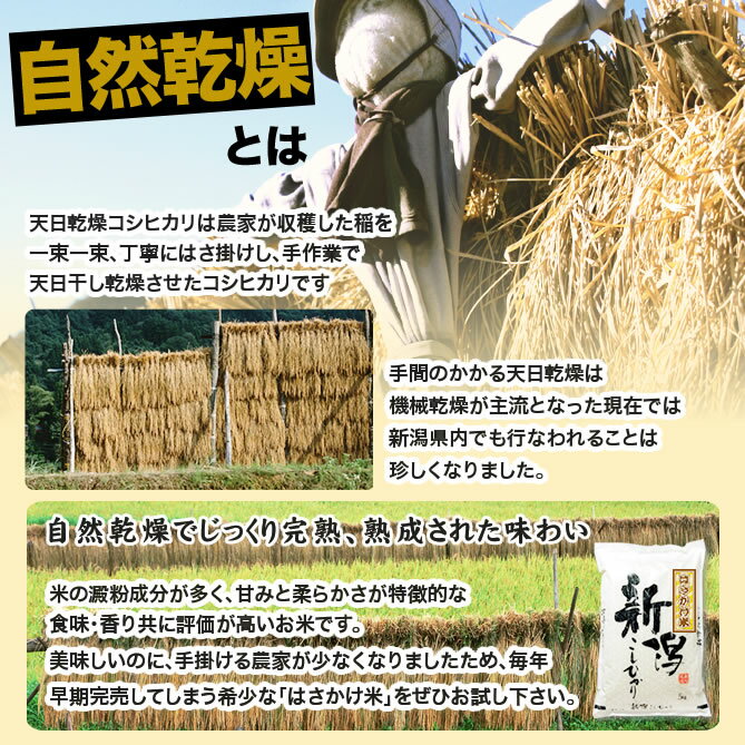 新潟県産天日干しコシヒカリ玄米20kg9800円