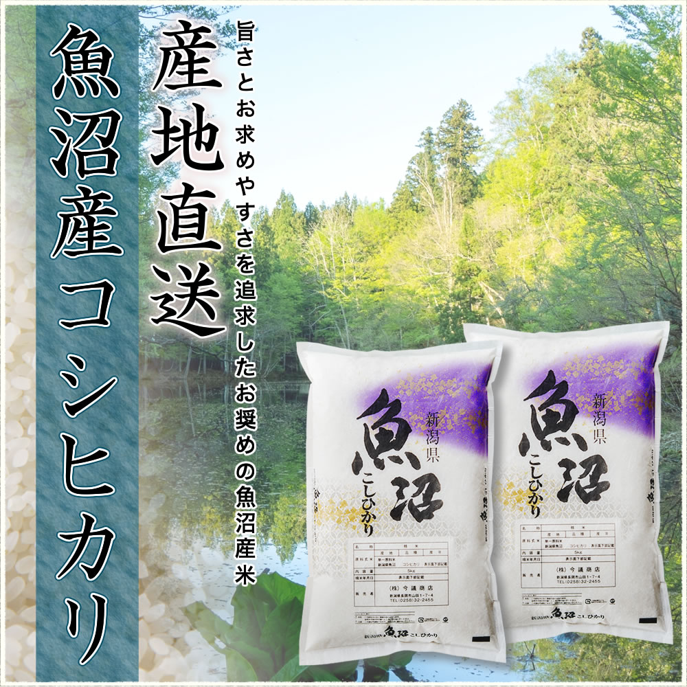 令和4年産 産直 魚沼産コシヒカリ 10kg