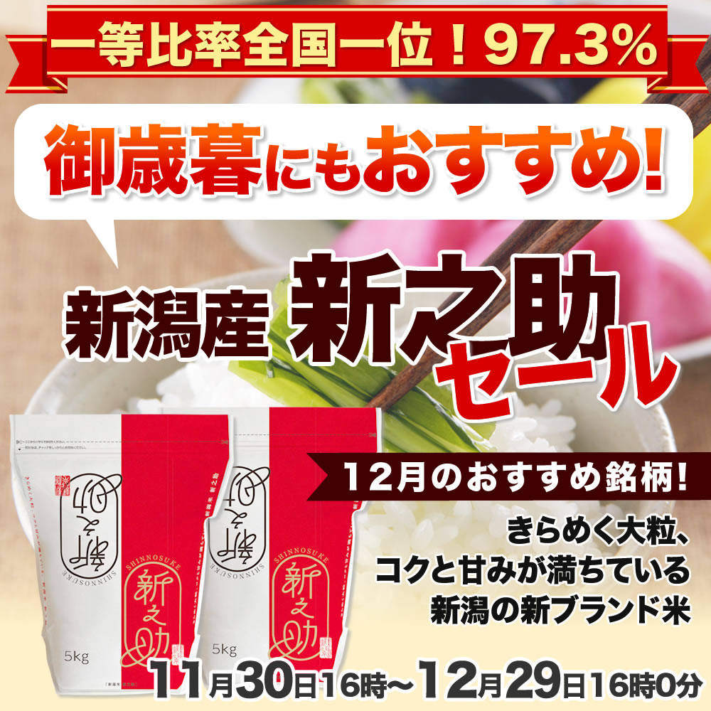 こしいぶきセール