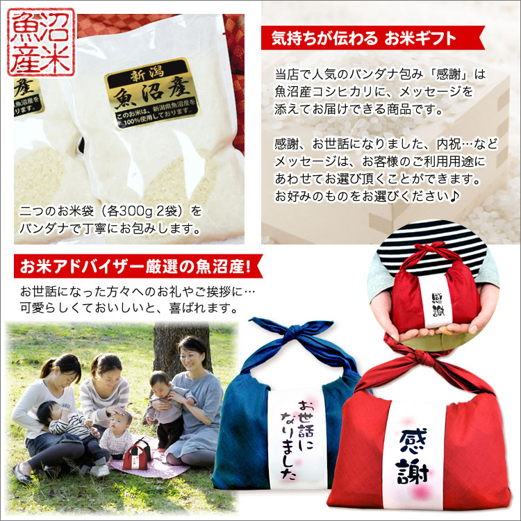 令和5年産魚沼産コシヒカリ】バンダナ包み「感謝」(300g×2袋)　【8個以上送料無料】