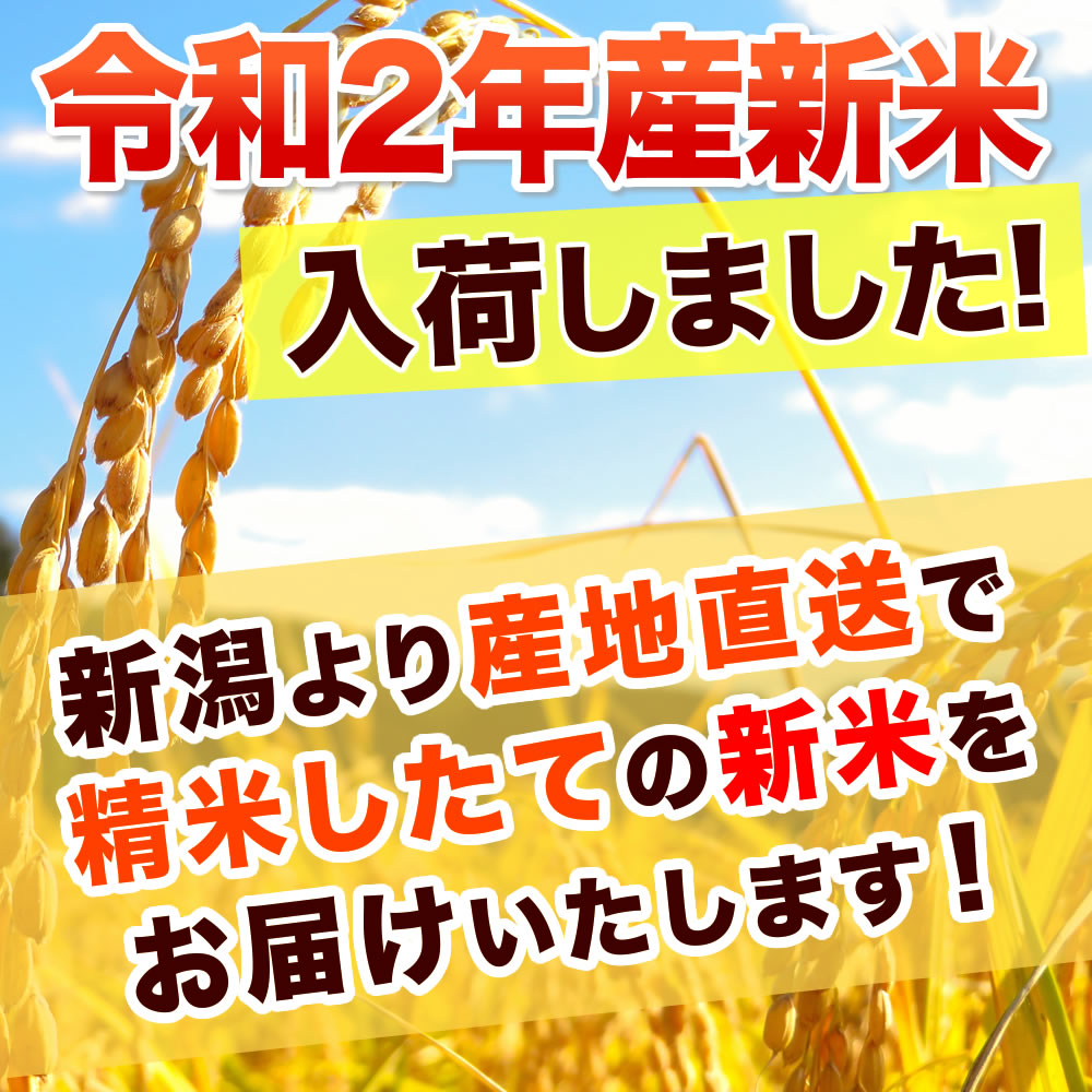 新米令和2年産