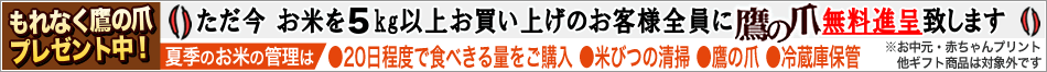 鷹の爪サービス