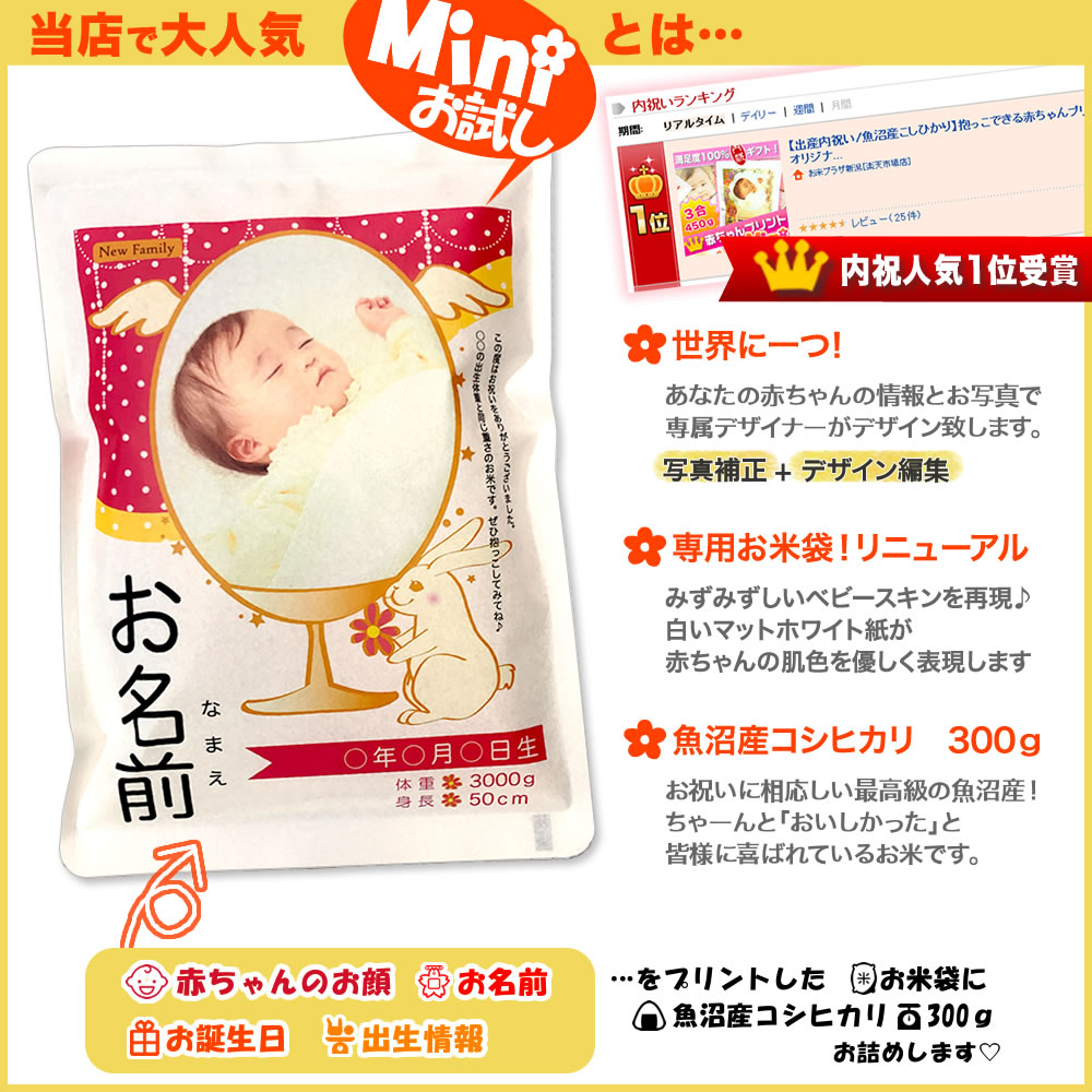 当店で大人気miniお試し版とは？