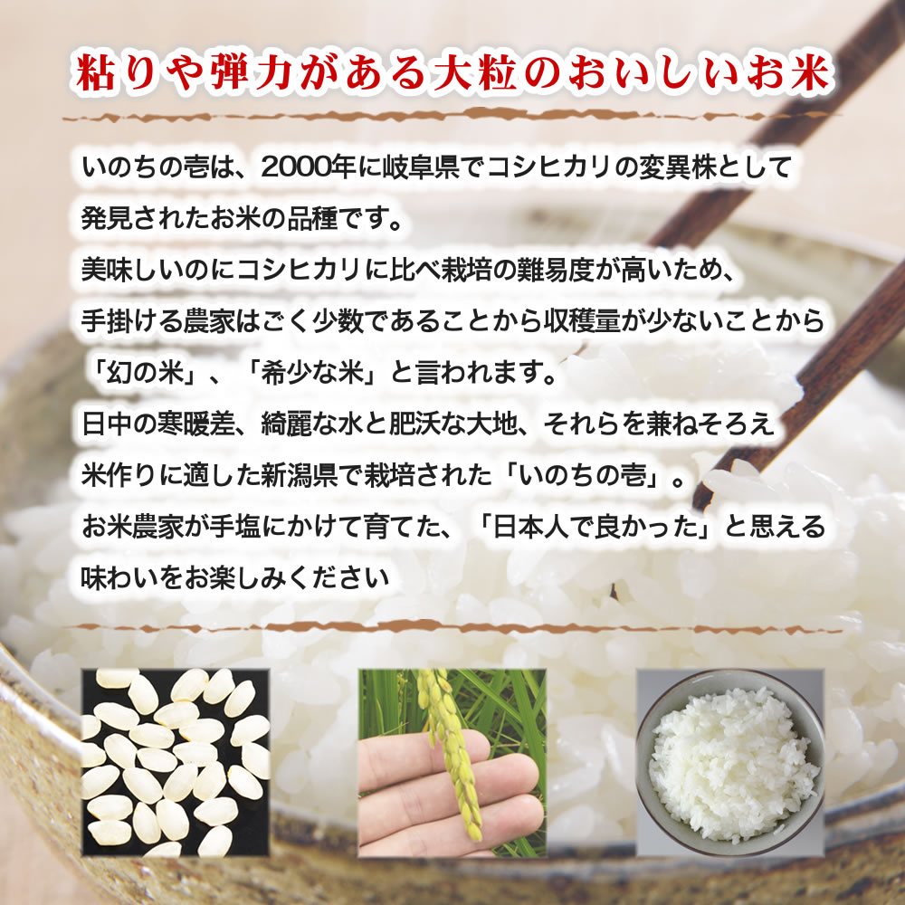 新潟産 いのちの壱 10kg（5kg×2） 令和5年産