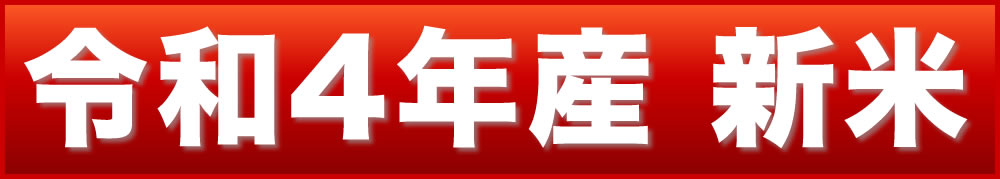 新米