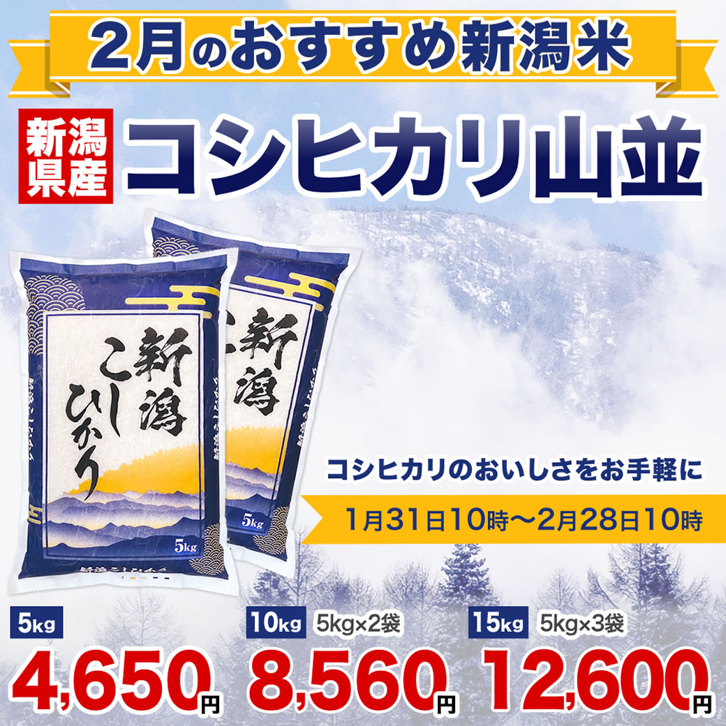 今月のおすすめ銘柄