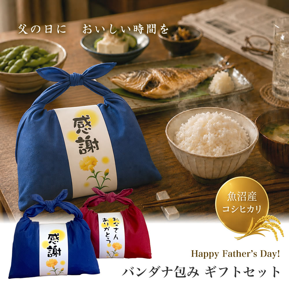 父の日 バンダナ包みセット 魚沼産コシヒカリ お米ギフト