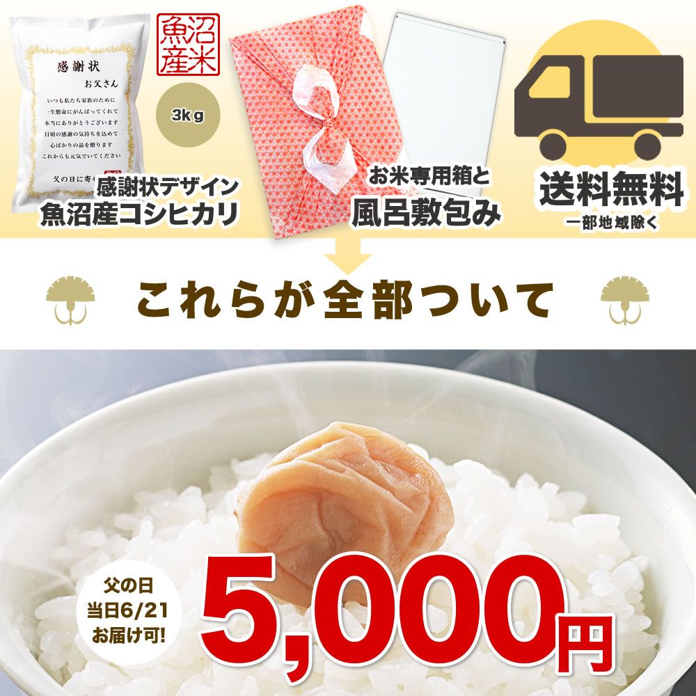 魚沼産コシヒカリ