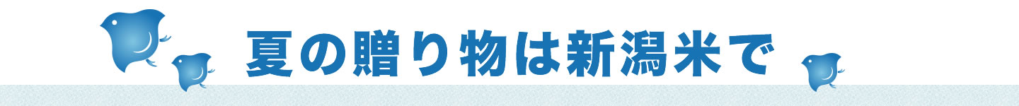 夏の贈り物は新潟米で