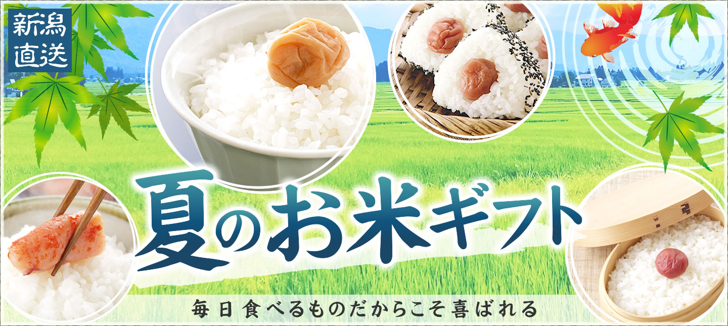 お米のお中元特集