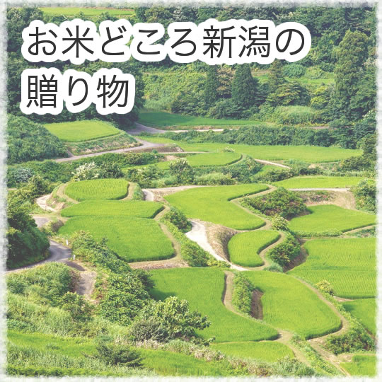 お米どころ 新潟よりお届けします