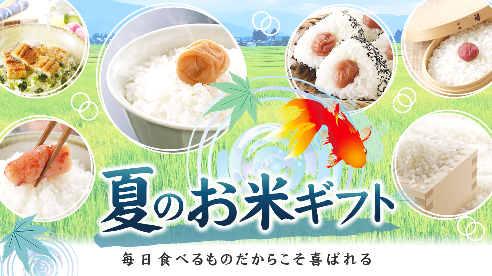 夏のお米ギフト 毎日食べるものだからこそ喜ばれる
