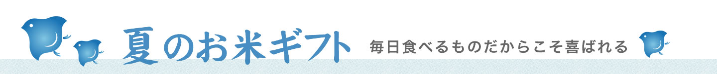 夏のお米ギフト