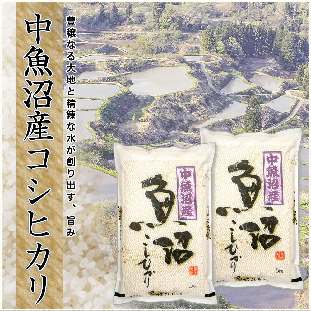 地域限定】令和4年産新潟県中魚沼産コシヒカリ 30kg