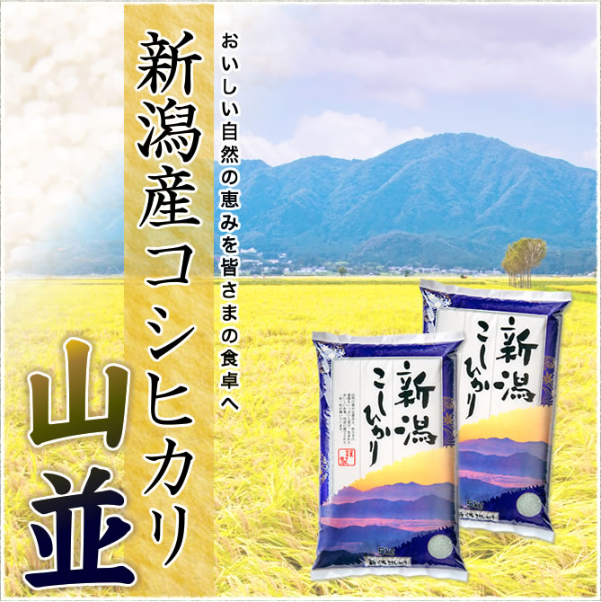 令和3年産新潟県蒲原産コシヒカリ玄米 30kg