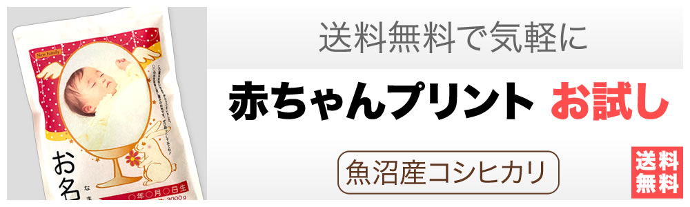 お試し【送料無料】