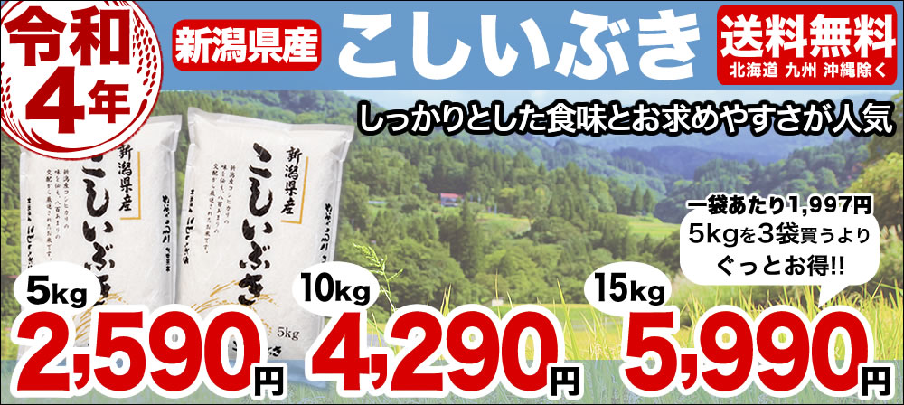 こしいぶき