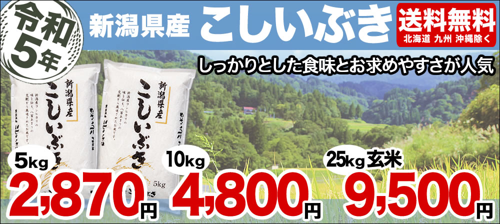 こしいぶき