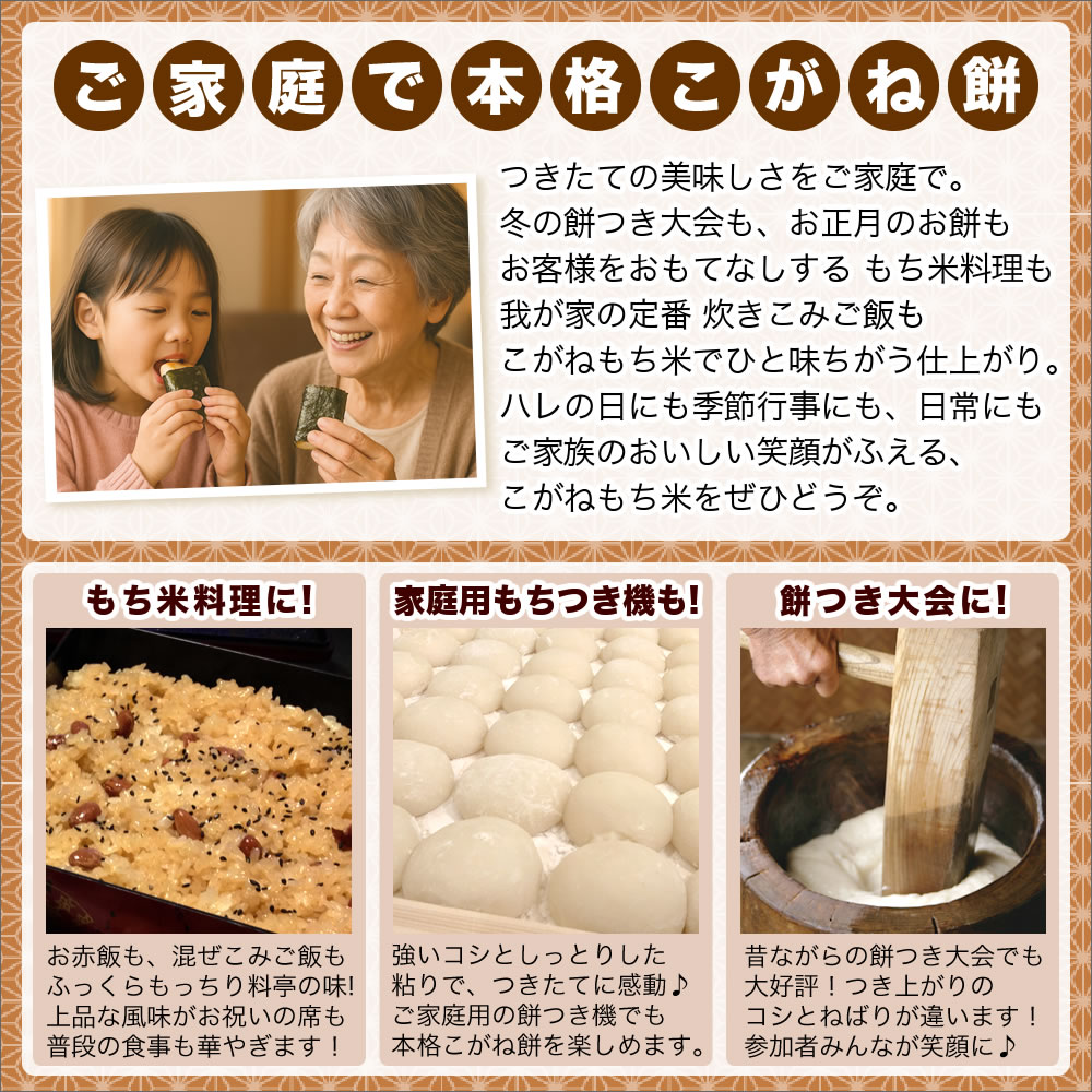 新潟県産こがねもち米の食味レポート