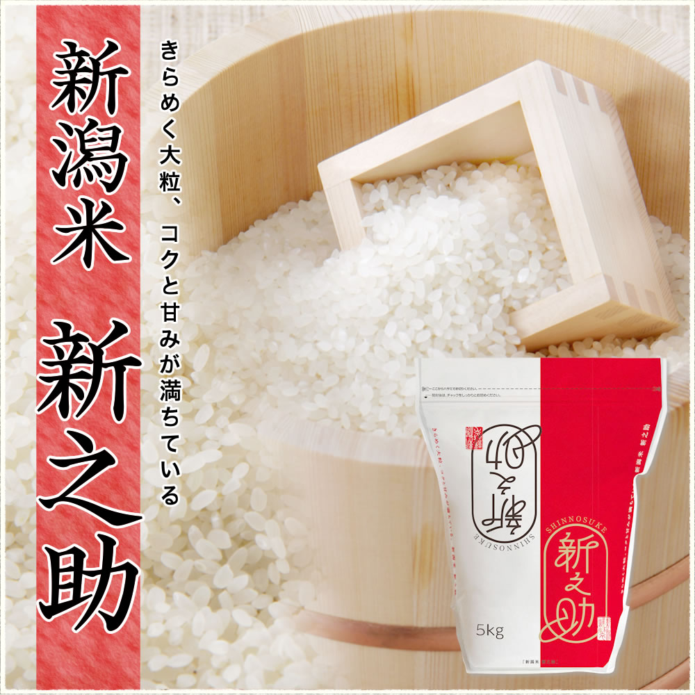 令和7年産 新潟県産 新之助 5kg