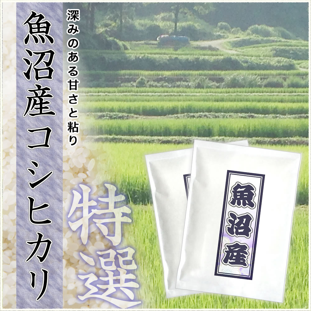 魚沼産コシヒカリのお試し