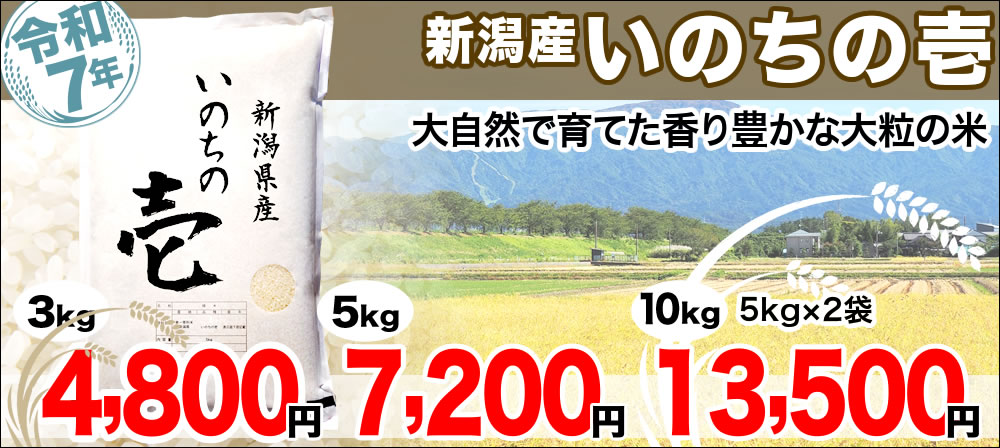 新潟産いのちの壱