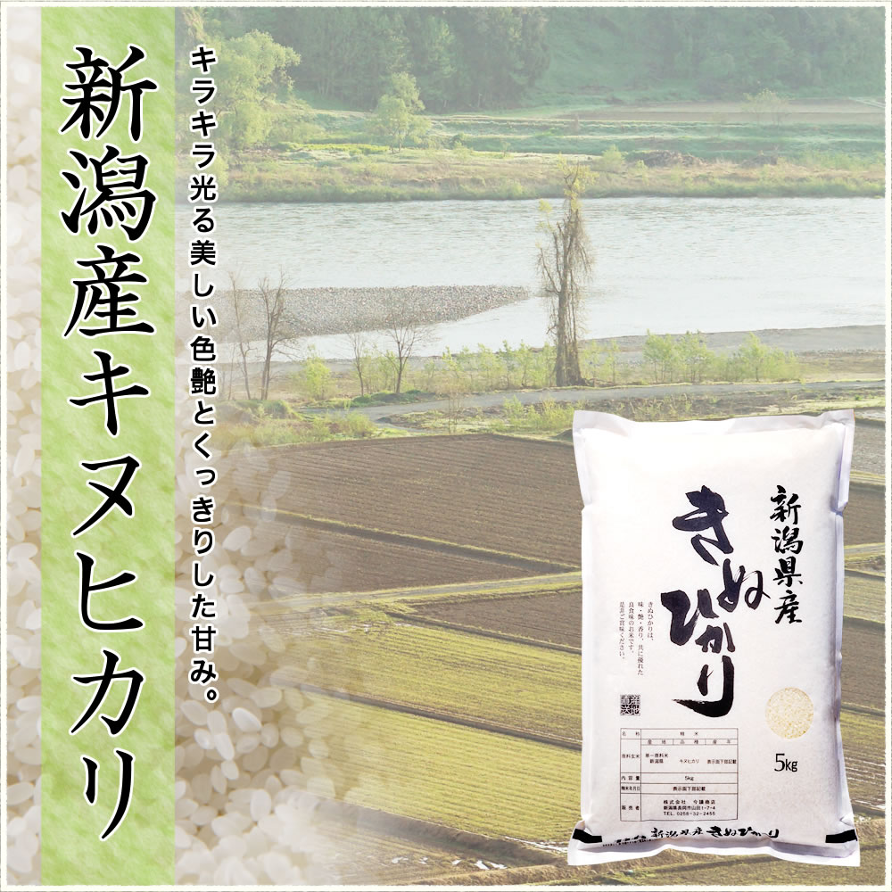 キヌヒカリトップ画像