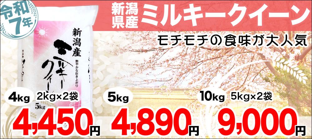 ミルキークイーン