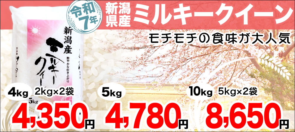 ミルキークイーン