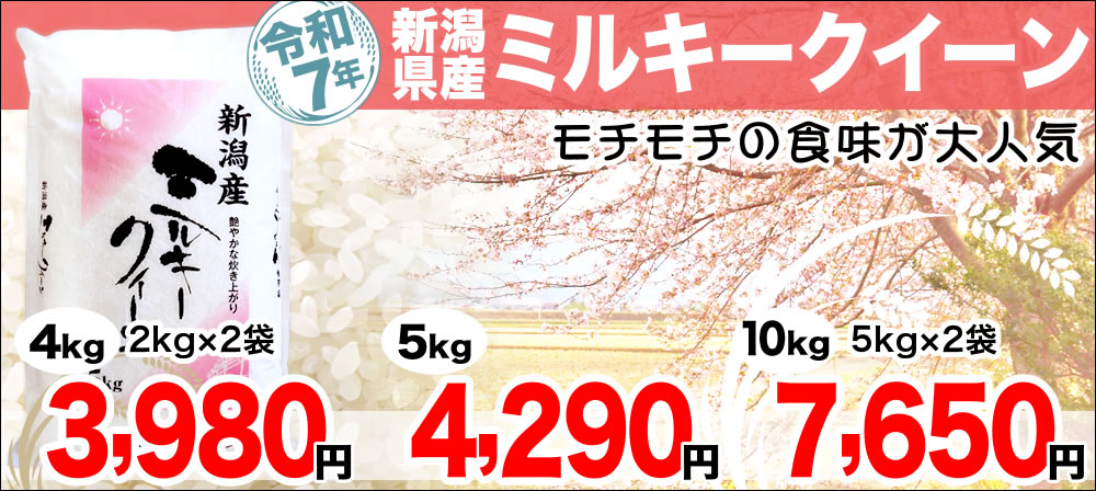 ミルキークイーン