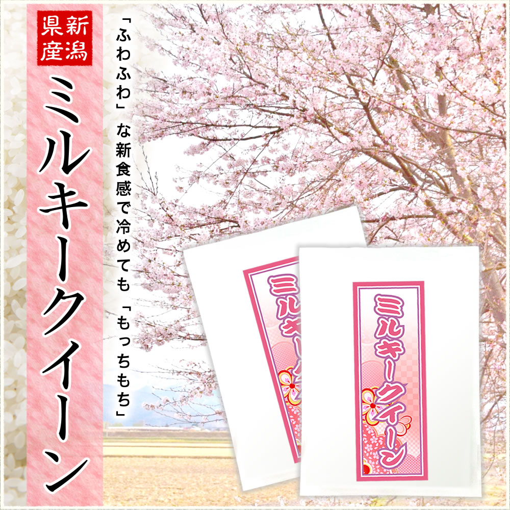 【お試し】新潟県産ミルキークイーン 300g×2袋