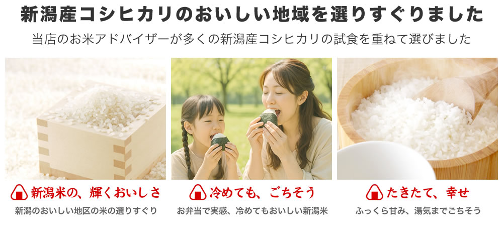 長岡花火特別セール 花火米