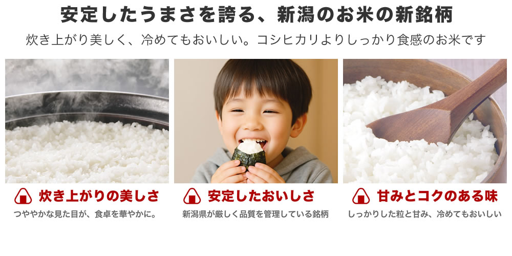 長岡花火特別セール 新之助