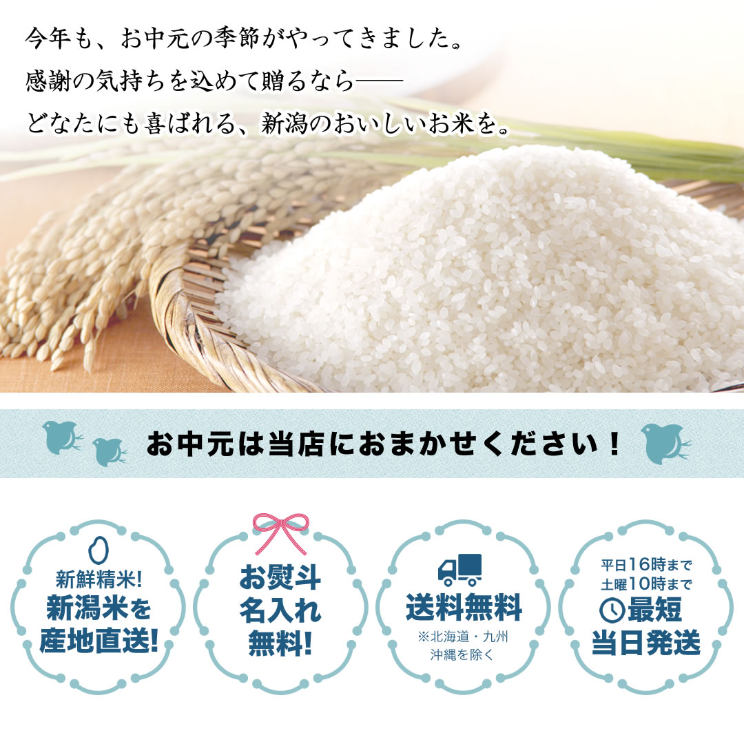 新潟米のお中元ギフト