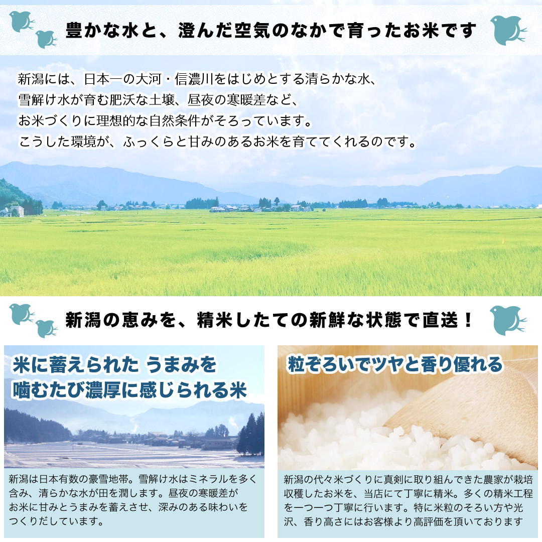 新潟の豊かな自然で育ったお米