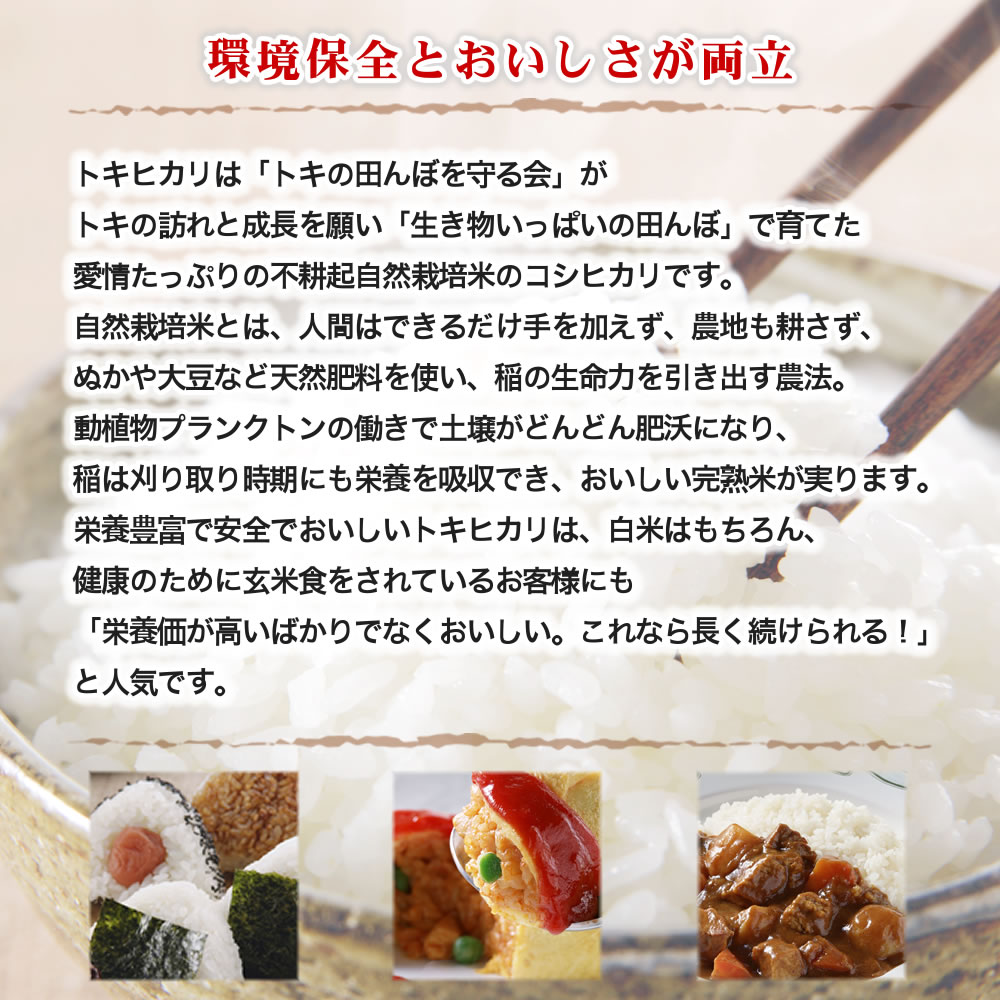 トキヒカリとは