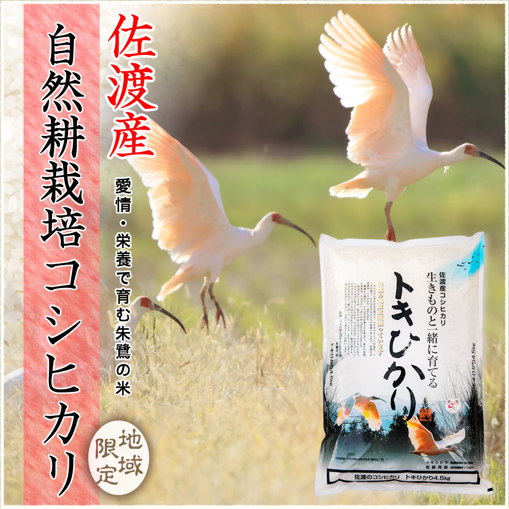 新潟県佐渡産トキヒカリ