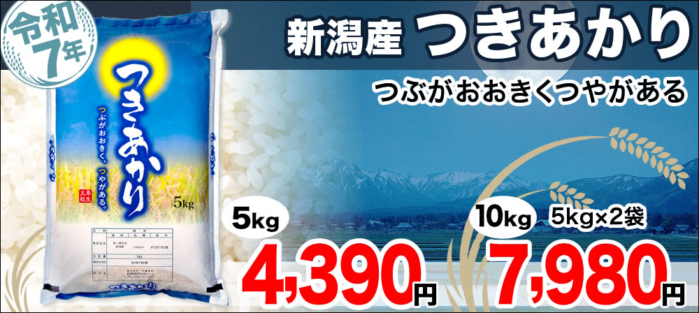 つきあかり