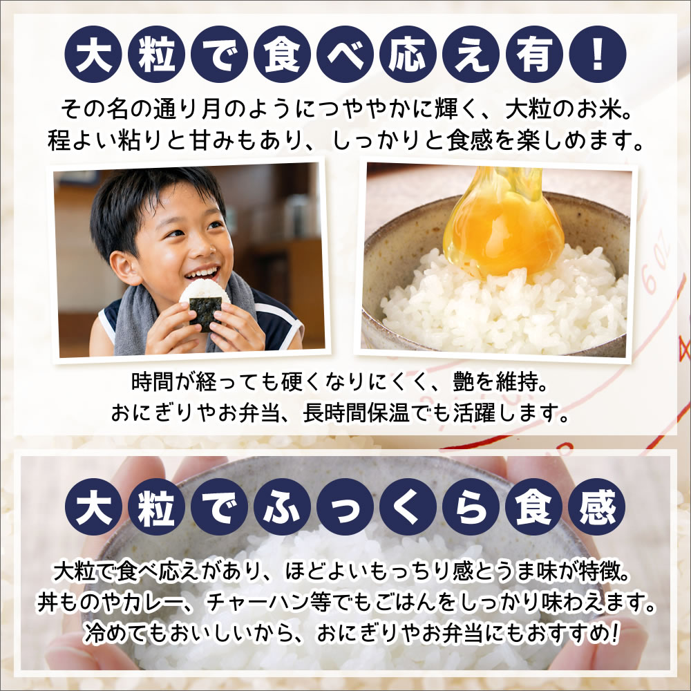 新潟県産つきあかりとは
