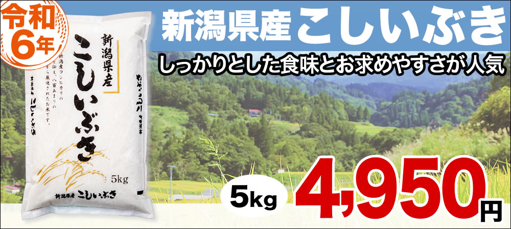 こしいぶき