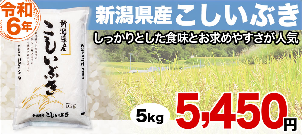 こしいぶき
